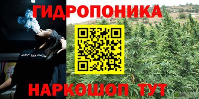 СК Гулькевичи