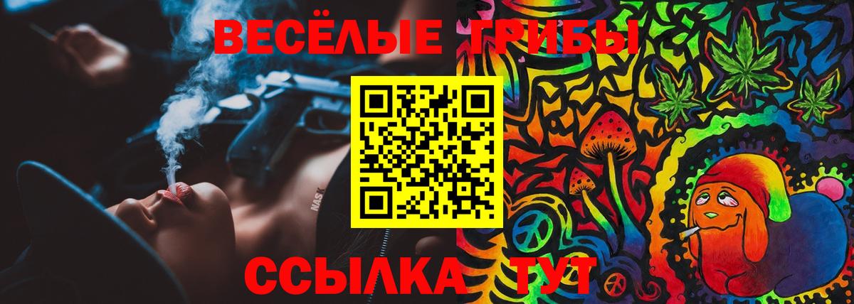 Галлюциногенные грибы Cubensis  Галлюциногенные грибы Cubensis  продажа наркотиков  Артём  Вход с VPN 